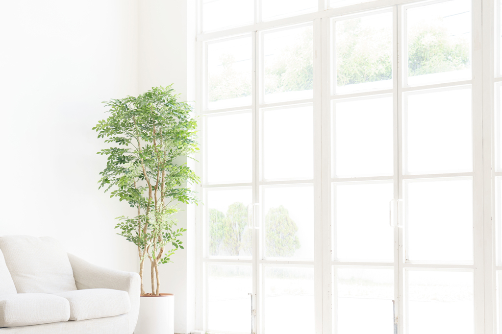 窓は住宅の中でも外からの空気の入れ替えや日光を取り込むことで住環境の快適さに密接に関わってきます。